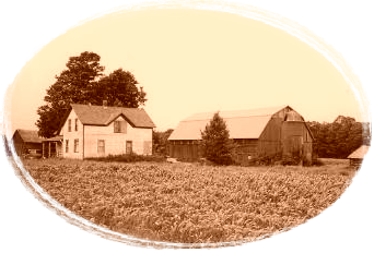 farm house with corn field in foreground